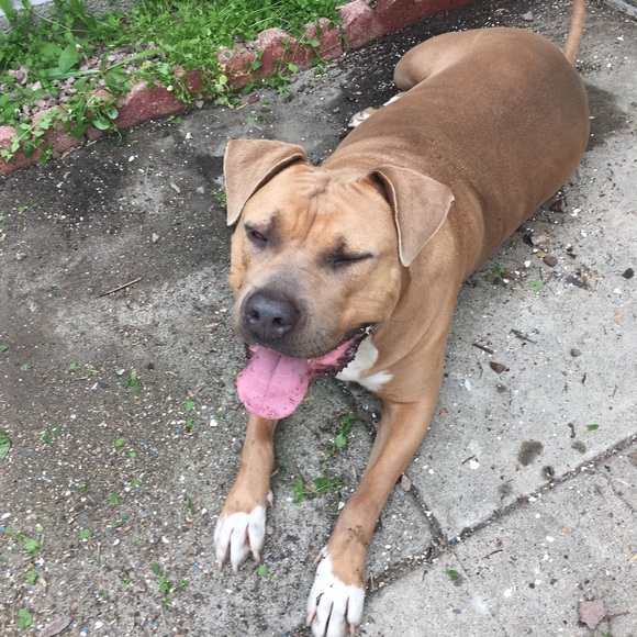 Meet your Posher, Maggie - Picture 5 of 16